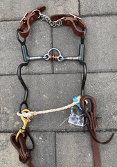 Dutton Floating Hood Cavalry Shank Horse Bit w/ Bit Hobble, Curb Strap, & Reins