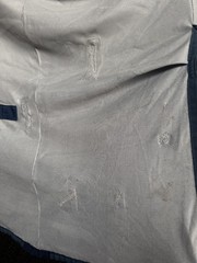 81” Bucas Buzz Off Full Neck Horse Fly Sheet – Used
