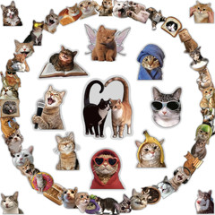 100Pcs Cat Stickers | Cute Funny Meme Bulk | Waterproof PVC Vinyl Stickers for W