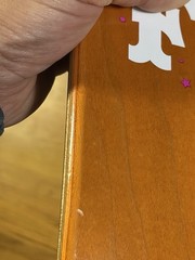 (Grail) Todd Bratrud Nike SB High Five Skunk Dunk Skateboard Deck