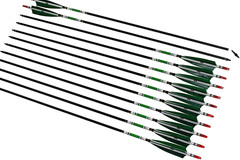 12Pcs 33inch Carbon Hunting Arrows Archery Target Arrows with 5″ Turkey Feathers
