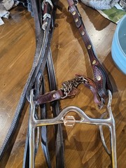 Horse Western Silver Show Headstall, Reins, Bit Set