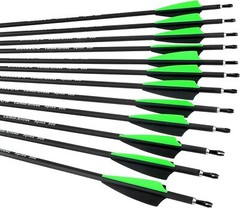 12Pcs 30 Inch Carbon Arrow Practice Hunting Arrow for Compound Bow Recurve Bow