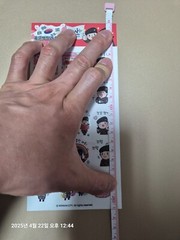 [RARE] 2025 Korea Nonsan Strawberry Festival Official Military Sticker