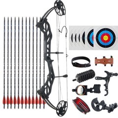 Archery 20-70LBS Compound Bow Kit 320fps Sports Hunting Targeting Carbon Arrows