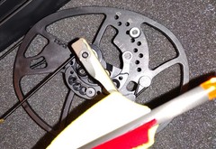Left-Handed Bear Adapt 2+ HP (RTH)