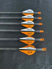 Easton Archery 6.5MM Hunter Classic 340 2″ Bully Vane 1/2 Dozen BRAND NEW