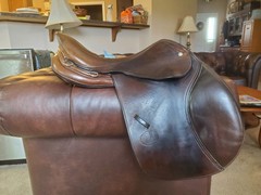 Schleese pouvoir jump saddle 16.5″