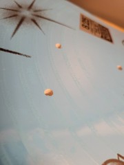 Real Hayley Wilson Cry Later TF Skateboard Deck Nike SB Dunk Low Tattoo Inspired