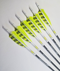 Goldtip warriors arrows for Traditional archery