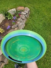 Discraft Paul McBeth Prototype Esp Anax 175g