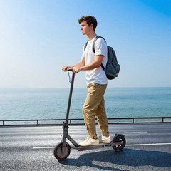 Ladped LP80 ADULT ELECTRIC SCOOTER 350W LONG RANGE 30KM HIGH SPEED 19MPH 10.5AH