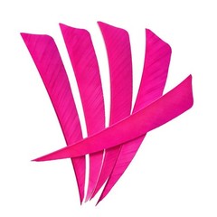 30-100PCS 3/4″/5″ Shield Cut Turkey Arrow Feathers Handmade Arrows Fletching DIY