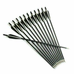 12Pcs 20 inch Crossbow Bolts Carbon Arrow For Hunt Target OD 8.8mm With 4″ vane