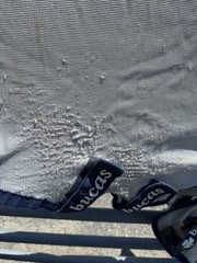 80” Bucas Buzz Off Full Neck Horse Fly Sheet – Used