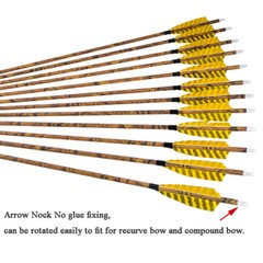 6/12 30″ Carbon Arrows SP500 4″ Feather Compound Recurve Bow Archery Hunting