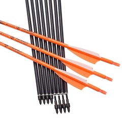 Elong 12PCS 28″ Arrows for Compound Bows,Carbon Hunting Arrows for Archery Sp…