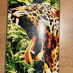 ORGANIKA Adelmo Jr skateboard deck Trucks Wheels Amazon Jungle 31” Nice!