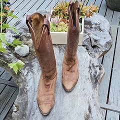 Dan Post Brown Leather Western Cowboy Boots, Pull-On, Embroidered Stitched Shaft