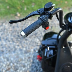 Citycoco Harley wide tire electric scooter 3000W max speed 33MPH double seat