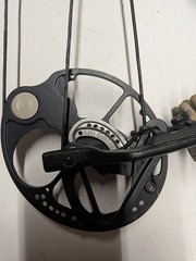 Bear Species Compound Bow Package! RH 23.5-30.5″ 55-70lbs. QAD arrow rest sight