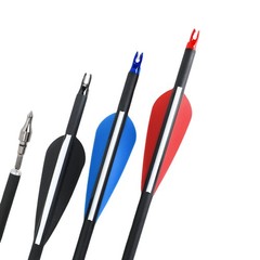 Archery Arrows Dense Shaft 12pcs 31″ Training Practice Shoting Hunting Quiver