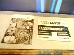 Win Win Wiawis archery bow limbs. MXT GF Foam/Carbon. 28 lbs. short.