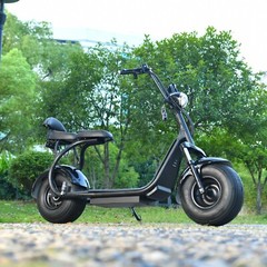 18 Inch Fat Tire E Scooter 3000W Motor Max Speed 33MI 60V20AH removable Battery