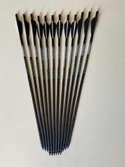 CROSSBOW BOLTS 12 Pack Trophy Ridge 22″ X-Ray FREE MEATSEEKER BROADHADS