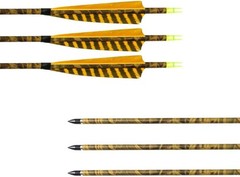 Carbon Practice Arrows 31″ for Compound Bow