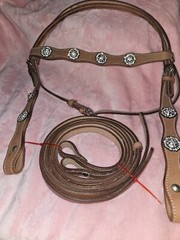 Leather Headstall w/ Crystal Rhinestone Conchos- Reins- NEW