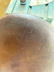 19 In Stubben Tristan Dressage Saddle