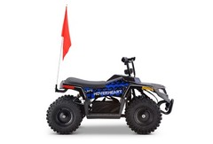Kids Blue Electric ATV 4-Wheeler Quad 36V 500W Off-Road Mini Ride-On Vehicle
