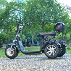 3000W powerful electric 3-wheeled vehicle with a max speed 28MPH max load 550IB
