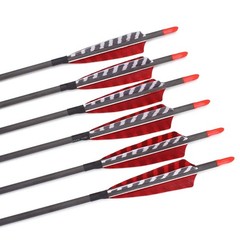 Arrows 600 Spine 30 Inch Turkey Feather Fletching Screw in Field Points Pack