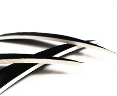 25-Pack 4-Inch Real Turkey Feather Fletching for Enhanced Archery Performance