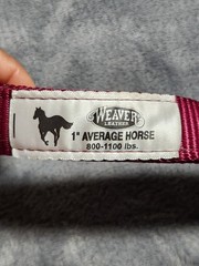 Weaver Leather Nylon Horse Halter Red 1 Inch Average Horse 800 To 1100 Pounds