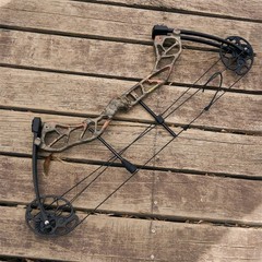 320FPS Compound Bow 19-70lbs Adjustable Arrows Set Outdoor Archery Hunting RH/LH