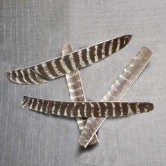 30 Pieces Full Length Turkey Feather Archery Arrow Fletching (7-11 Inch) for DIY