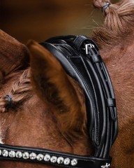 Schockemohle Crystal Bridle Westminster black/patent/silver | NO IMPORT FEES
