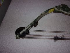 Proline Riptide Compound Bow