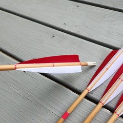 Half Dz 11/32 Cedar Arrows 31″ RW Fletch 5″ 30-40# With 125gn Field Points