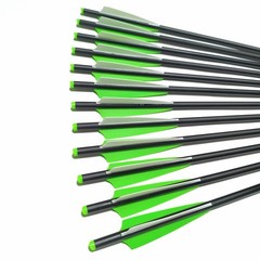 12pcs Crossbow Arrows 20″ Hunting Bolts &/OR Broadheads Lighted Nocks Archery
