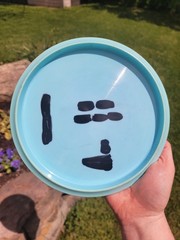 Discraft Esp Buzzz PFN Circle Stamp 173g Party Time Foil