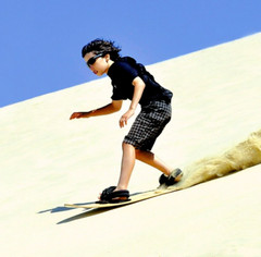 Venomous Sandboards – The most popular sandboard in the world!