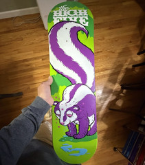 (Grail) Todd Bratrud Nike SB High Five Skunk Dunk Skateboard Deck