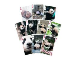 Korea Everland Baby Panda Fubao Trumpcard- 40 Sheets