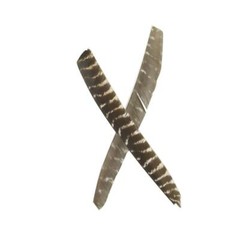 30 Pieces Full Length Turkey Feather Archery Arrow Fletching (7-11 Inch) for DIY
