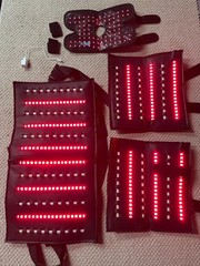 Equine LTS R-Serie Mini Pro, LED Light Therapy
