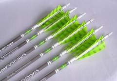 Goldtip warriors arrows for Traditional archery